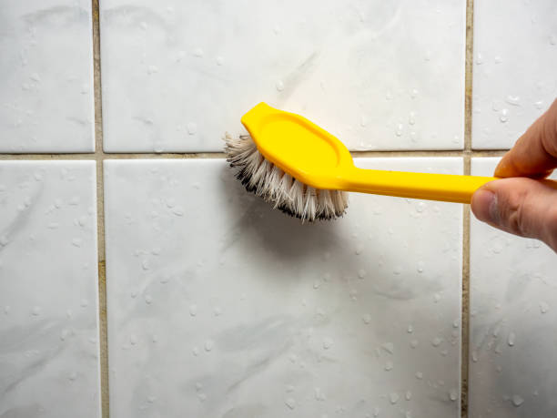 Best Office Mold Removal Services  in Edmundson, MO