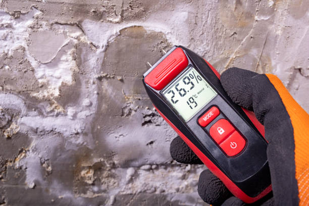 Best Attic Mold Removal  in Edmundson, MO